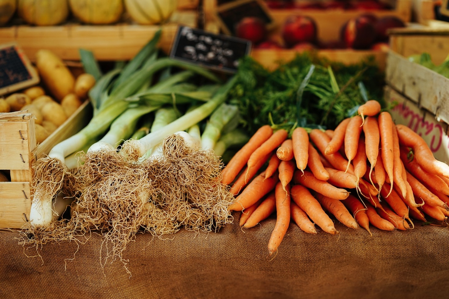 Sådan hjælper Agritect Food klimaet